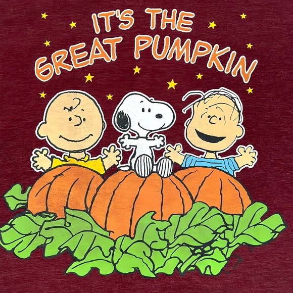 Charlie Brown Peanuts Its The Great Pumpkin Halloween Fall Pop Culture T Shirt M - Picture 2 of 4